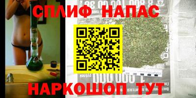 индика Анжеро-Судженск